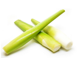 水筍-深圳市偉泰發餐飲管理有限公司